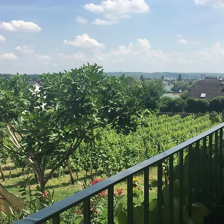 Bed and Breakfast - Rheingauer Hof