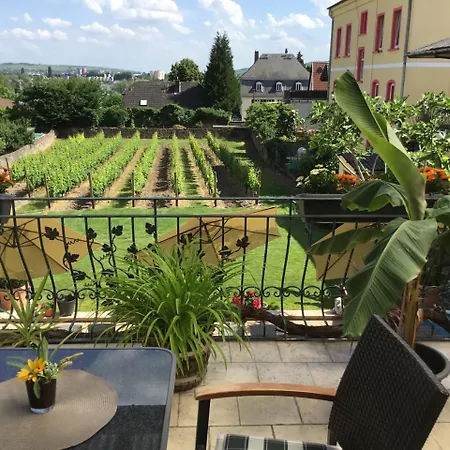 Bed and Breakfast - Rheingauer Hof 3*