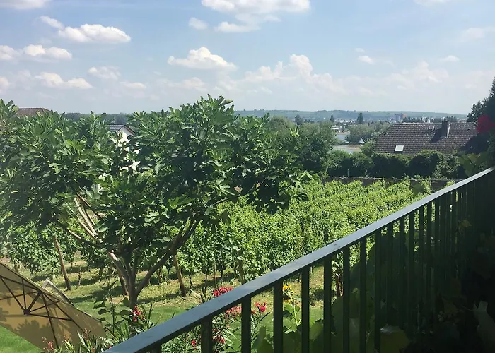 Frühstückspension - Rheingauer Hof