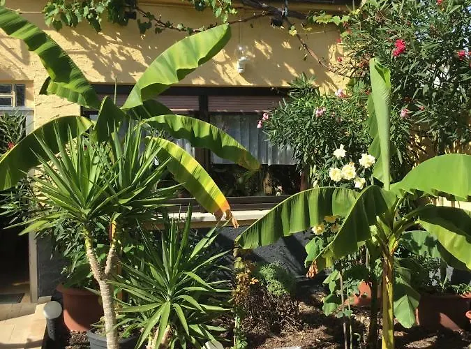 - Rheingauer Hof Oestrich-Winkel