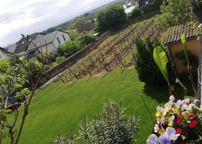 Frühstückspension - Rheingauer Hof 3*